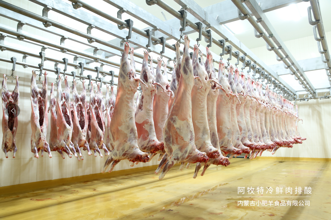 如何確保羊肉在冷鏈運(yùn)輸中保持新鮮？