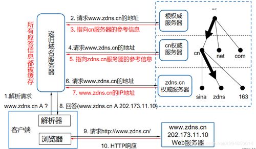 域名系統(DNS) 互聯網的“電話簿”——起源、原理與服務解析
