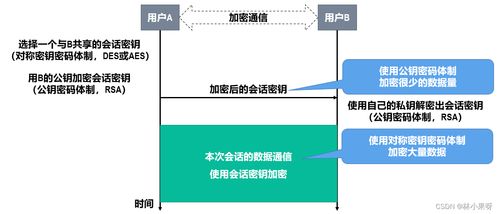 計(jì)算機(jī)網(wǎng)絡(luò)開發(fā)與服務(wù)中的網(wǎng)絡(luò)安全 守護(hù)數(shù)字世界的基石