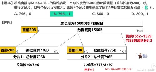計(jì)算機(jī)網(wǎng)絡(luò)408題（2020-2022） 聚焦開發(fā)與服務(wù)的核心考點(diǎn)解析